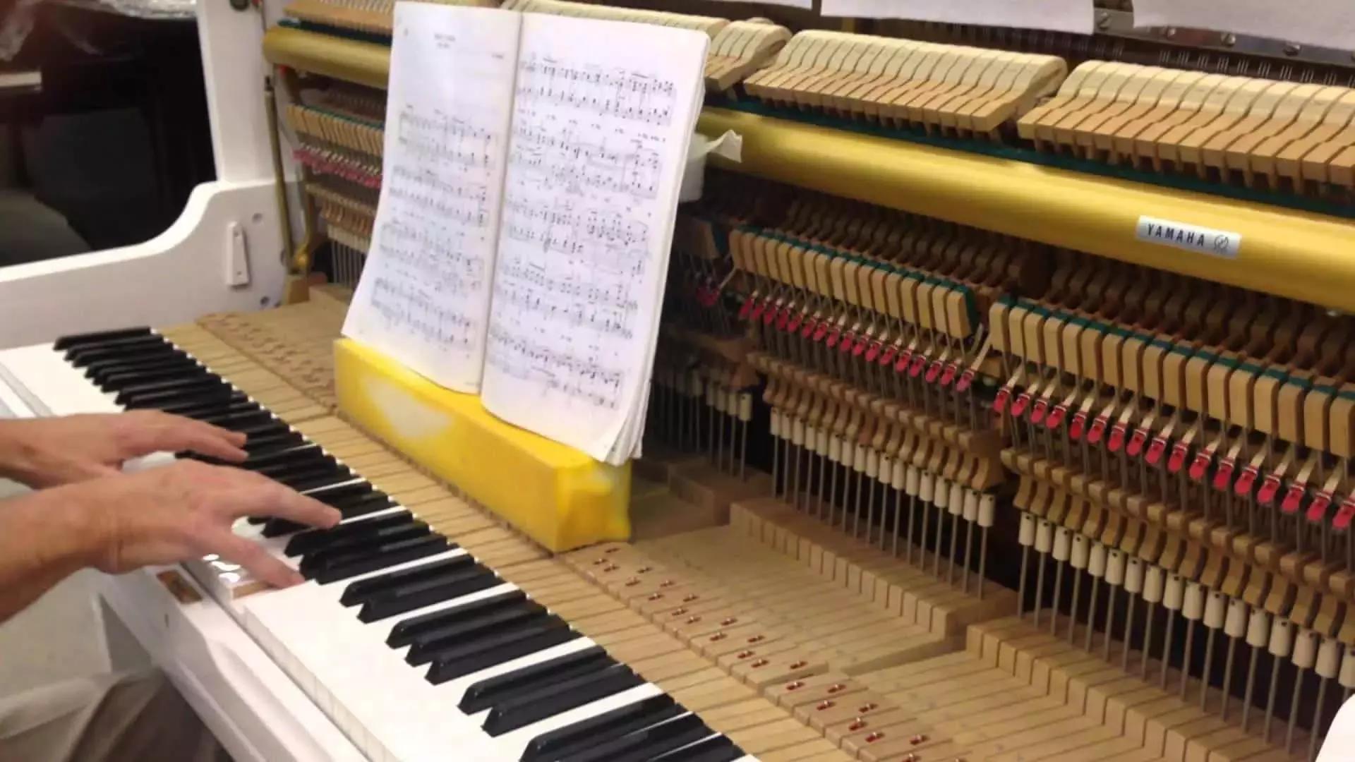 Il Pianoforte è Uno Strumento A Corde