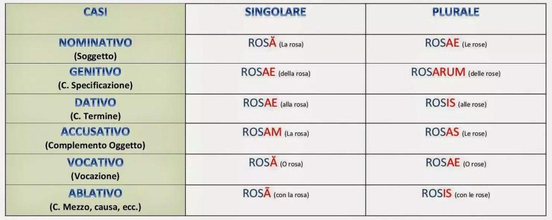 Affrontare con Successo i Corsi di Latino! | Superprof