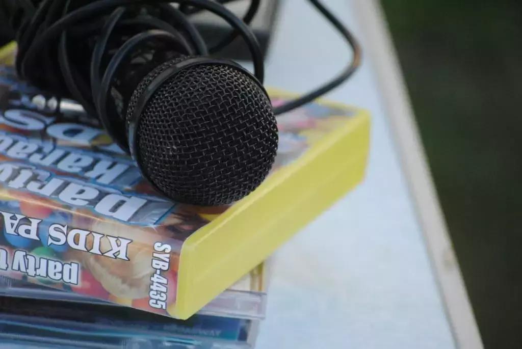 Sara Natale Se Karaoke.Lezioni Di Canto Online Le Applicazioni Per Karaoke