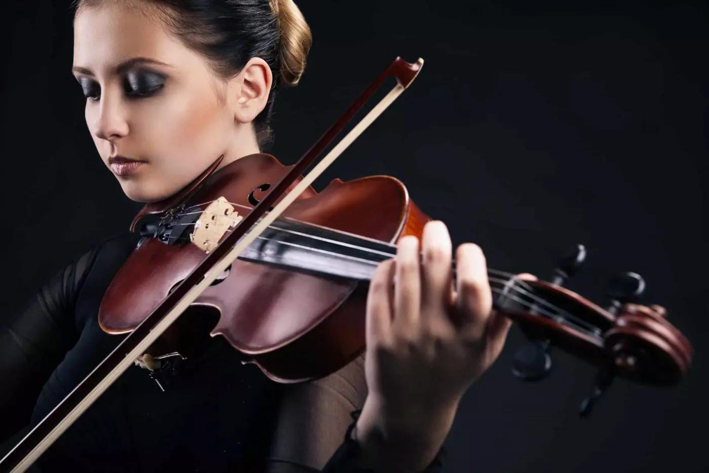 Come Si Chiama La Bacchetta Del Violino