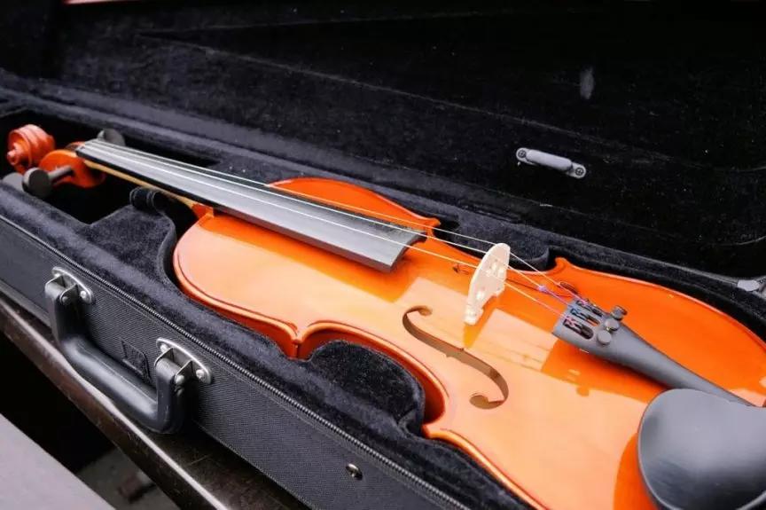 Quanto Costa il Materiale per Violino? Superprof