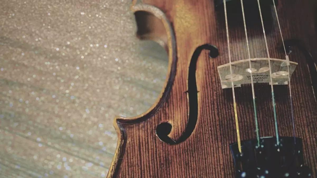 Gli Accessori Indispensabili per Suonare il Violino