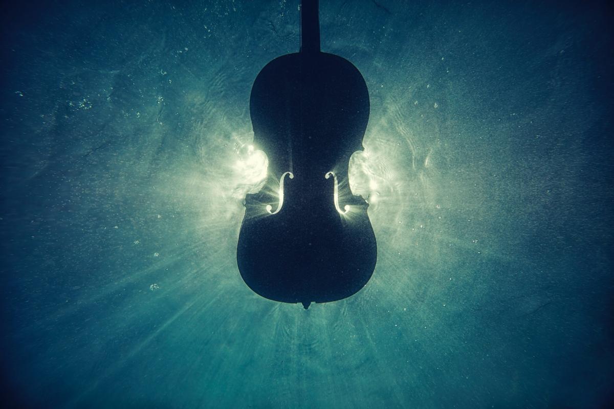 Come Imparare a Suonare il Violino da Autodidatta